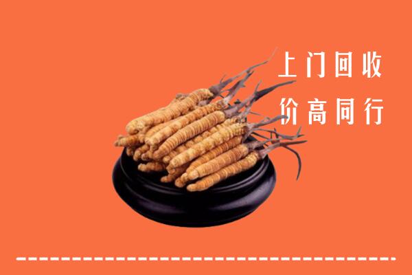 绍兴市新昌县回收冬虫夏草