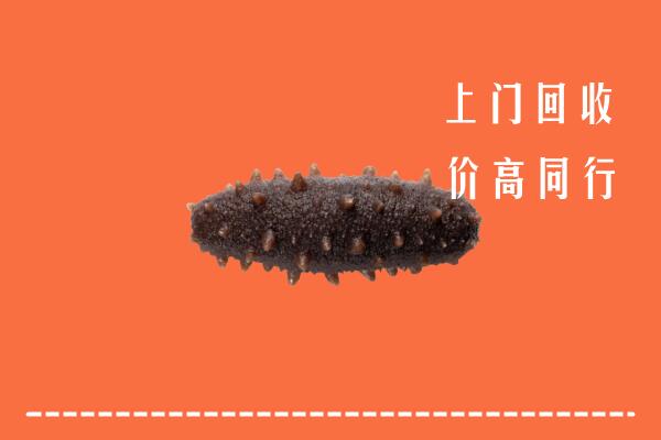 高价求购：绍兴市新昌县回收海参