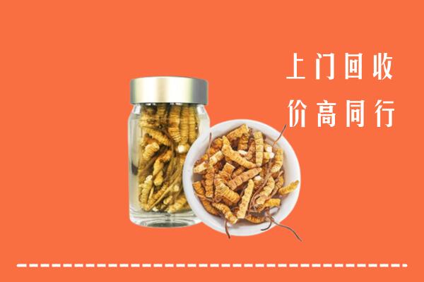 绍兴市新昌县回收冬虫夏草