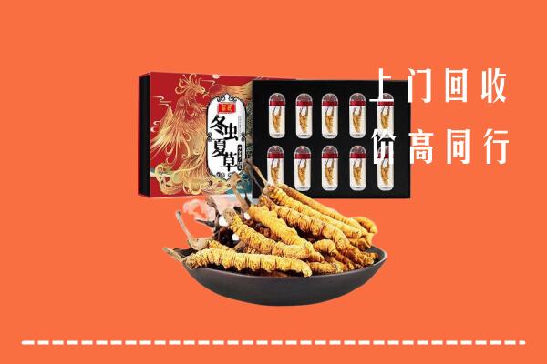 绍兴市新昌县回收虫草